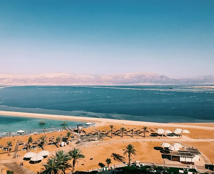 בראון ים המלח