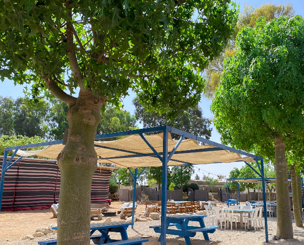 ארץ צאלים