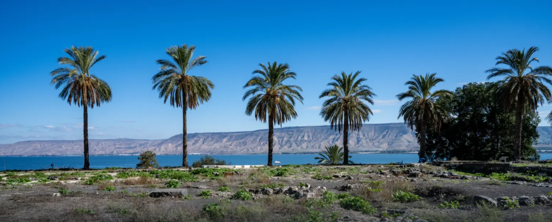ג׳ייקוב אוהלו כנרת